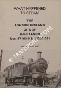 Book cover of What Happened to Steam by HANDS, Peter